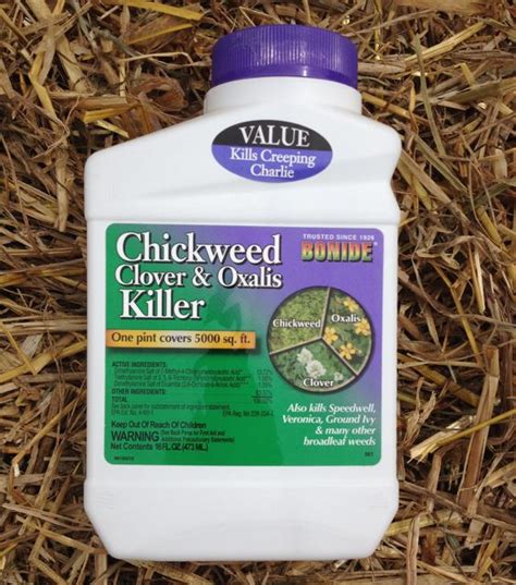 Chickweed Clover and Oxtail Killer – Stone Brothers