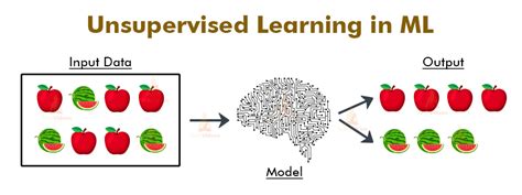 Unsupervised Learning|QuizManthon.com