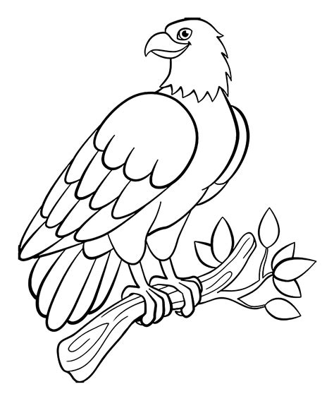 Printable Bird Coloring Pages