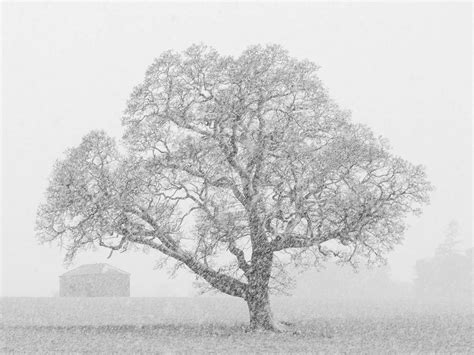 6 Top Tips for Hiking Photography - Nature TTL