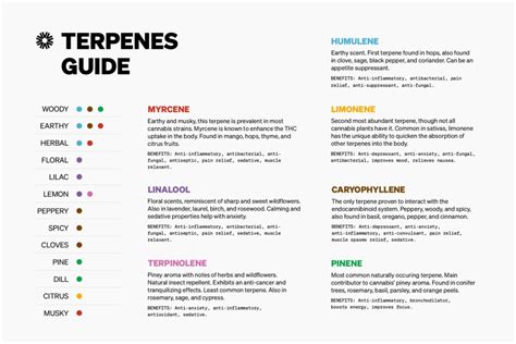 All About Terpenes - Verano