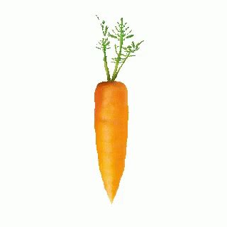 Carrot GIF - Carrot - Discover & Share GIFs