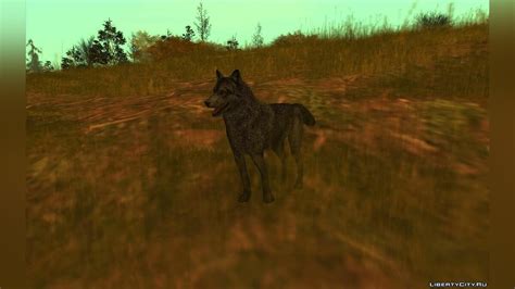 Download Wolf from the game Call Of Duty: Ghosts for GTA San Andreas