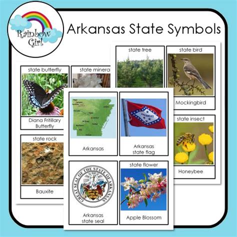 Arkansas State Symbols | State symbols, Arkansas state, Symbols