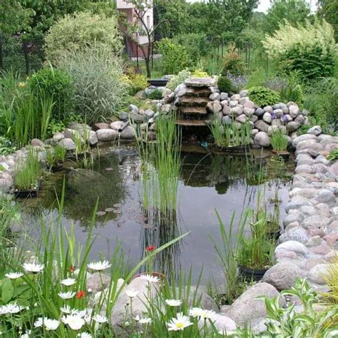 30 Wildlife Pond Design Ideas for Animals & Critters - Pond Informer