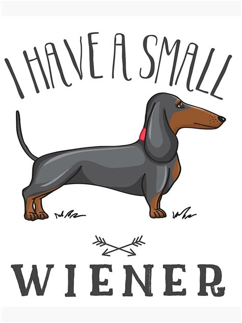 "I have a small wiener, Wiener Dog, Weiner Dog, Dachshund Dog, Funny ...