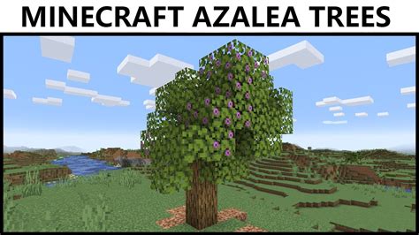 Where To Find AZALEA TREES In MINECRAFT - YouTube