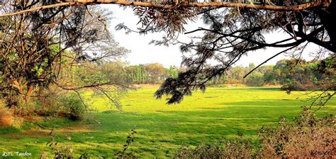 Dry Kengeri Lake | The Conversion of watershed area of the K… | Flickr