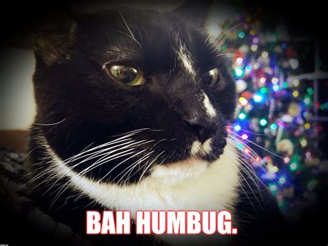 Bah Humbug - Imgflip