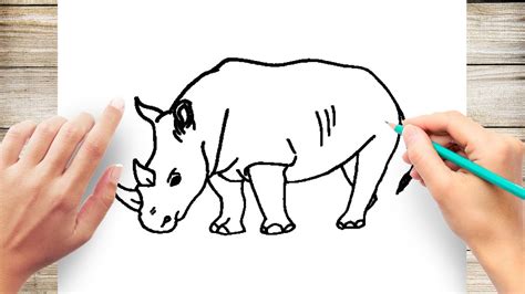 Cartoon Rhino Drawing For Kids - This activity is short and simple.