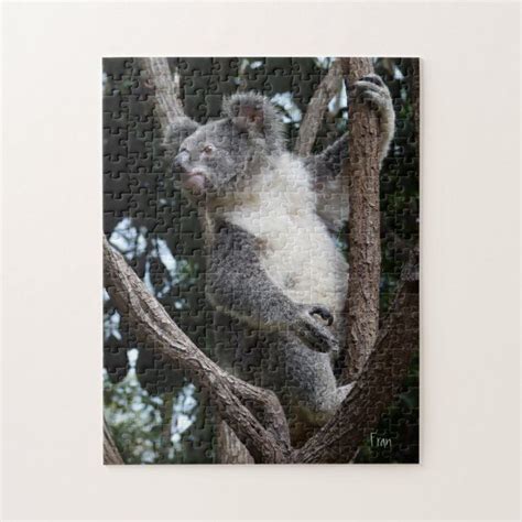 a koala bear sitting on top of a tree branch jigsaw puzzles