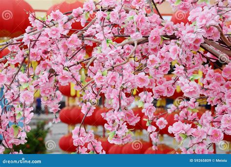 Chinese New Years Flowers - Latest News Update