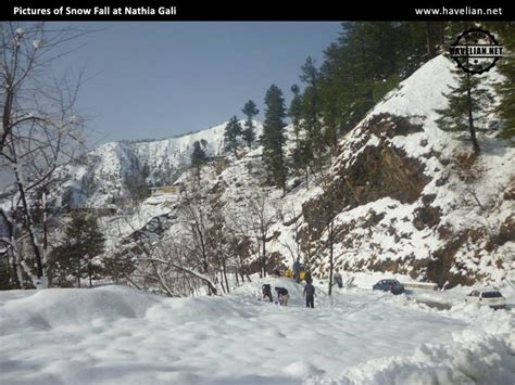 Nathia Gali Weather Today