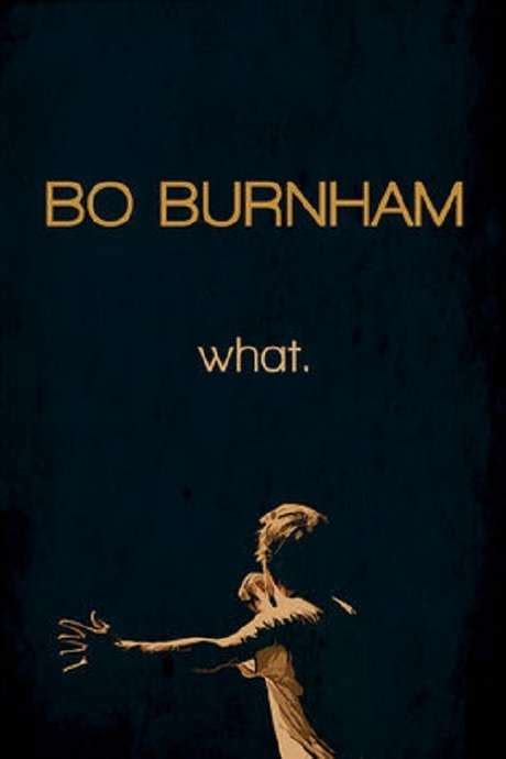 ‎Bo Burnham: What. (2013) directed by Christopher Storer, Bo Burnham ...