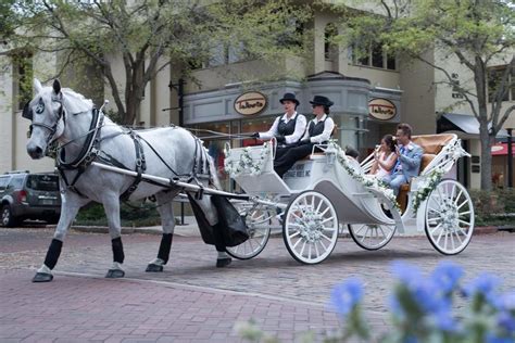 WEDDING — ORLANDO HORSE & CARRIAGE