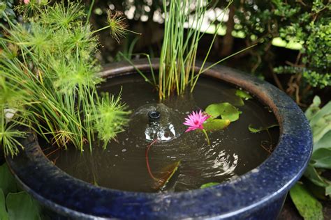 How to Create A Water Feature To Spruce Up Your Garden