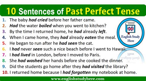 examples of past perfect tense Archives - English Study Here