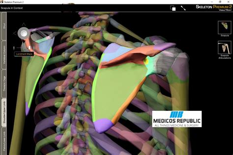 Visible Body Skeleton Premium - Bony Landmarks | Medicos Republic