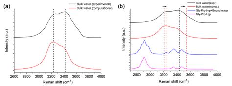 Figure S4. Theoretical Raman spectra calculated for water molecules,... | Download Scientific ...