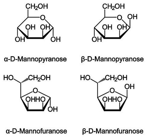 Mannose - Alchetron, The Free Social Encyclopedia