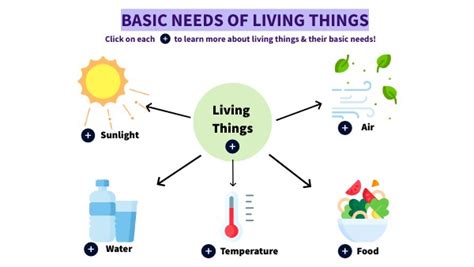 Basic Needs of Living Things