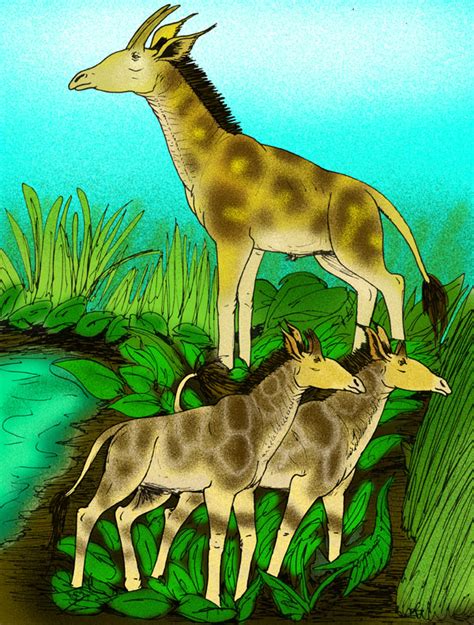 Fossil vertebrae reveal clues to evolution of long neck in giraffe