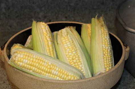 Over cooking corn is a very common mistake made when cooking fresh corn. My husband taught me ...