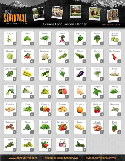 New Square Foot Gardening Spacing Guide Square Foot Gardening Chart With images | Square foot ...