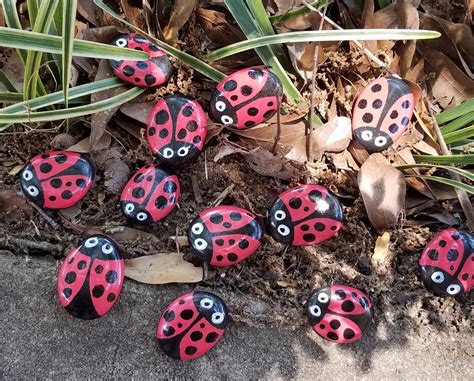 Ladybug Rocks Garden Stones Home Decor Gardening Art - Etsy