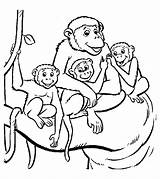 Monkey coloring Pages For kids  Monkeys Kids Coloring sketch template