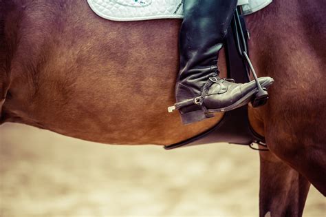 Horse Riding Boots » FREE for commercial use photos.