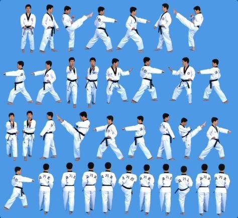 24 Poomsae - Taegeuk Forms ideas | taekwondo forms, taekwondo, martial arts