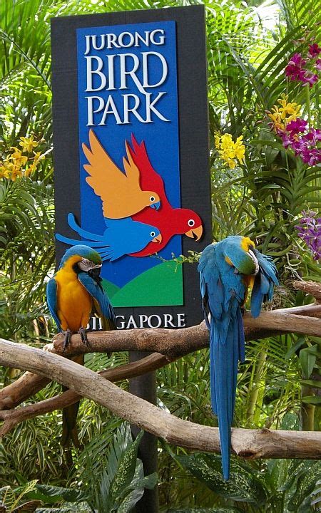 "Jurong BirdPark" is possibly the world's best bird-zoo (with the largest number of birds) and ...