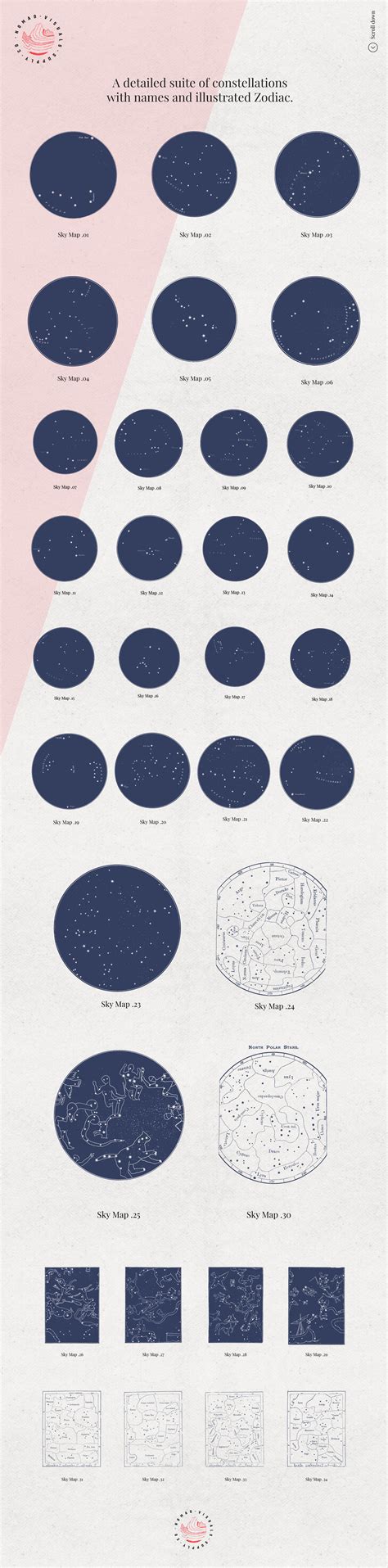 Constellations & Zodiac Illustrations By Nomad Visuals | TheHungryJPEG