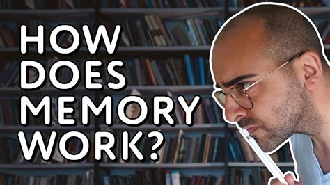 How does memory retrieval work in the brain? - YouTube