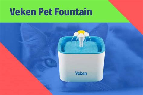 The Veken Pet Fountain: A Review - Cats Fountains