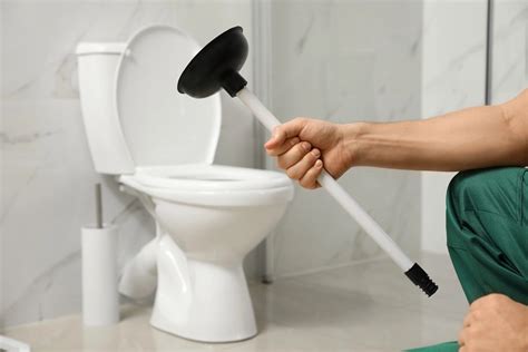 How To Unclog A Toilet With Plunger | Storables