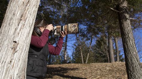 Gear review: Top accessories for bird and wildlife photographers | Canadian Geographic