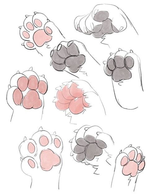 How To Draw Cat Paw