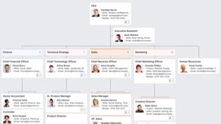 Organogram Definition & Templates for Word, Excel, & PPT