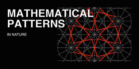 Mathematical Patterns In Nature