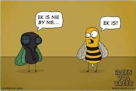 Image result for idees vol vrees afrikaans (With images) | Afrikaans