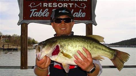 Table Rock Lake Bass Fishing Report - YouTube