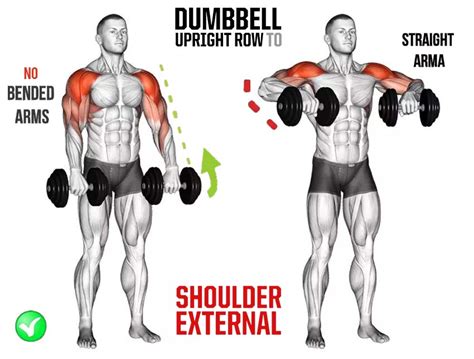 Wide Grip Upright Row Muscles Worked - cloudshareinfo