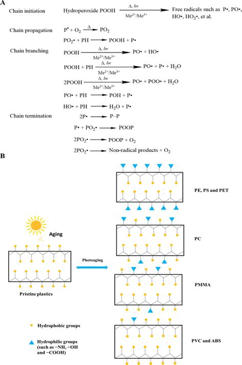 (A) The possible reaction mechanism of photodegradation of polymers.... | Download Scientific ...