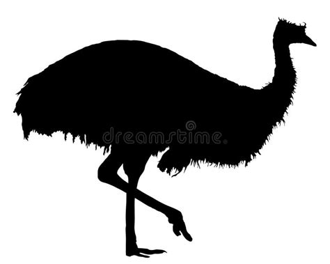 Emu Silhouette Stock Illustrations – 795 Emu Silhouette Stock ...