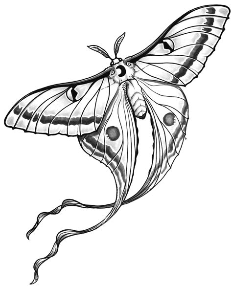 Luna moth tattoo design (raw) by Shon2 on DeviantArt