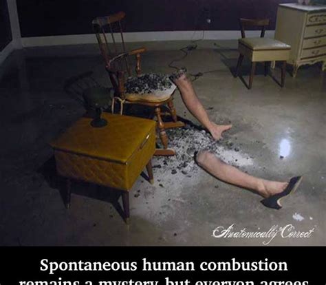 A Green Road Journal: 200 Historical Accounts of Spontaneous Human Combustion - Overview, Common ...