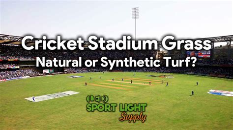 Cricket Stadium Grass - Natural Grass Sod or Synthetic Turf? - Sport ...