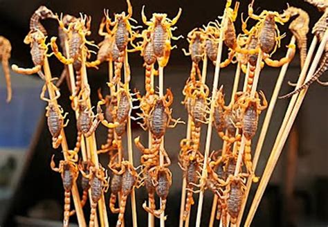 In China, scorpions are a tasty delicacy - Punch Newspapers